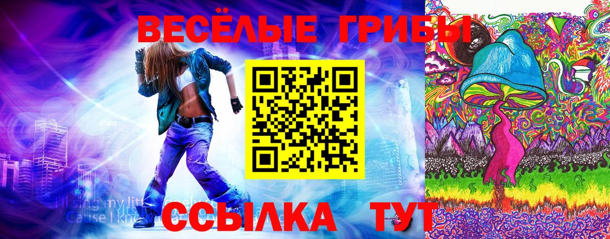 Светлоград  Псилоцибиновые грибы Magic Shrooms  Вход с VPN 