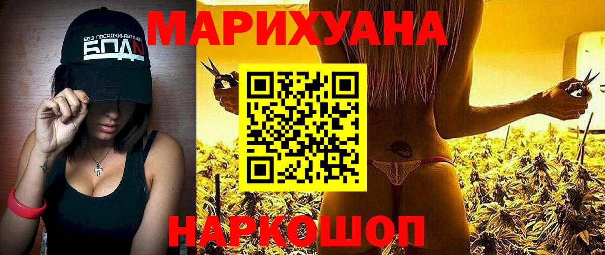 Конопля сатива Светлоград